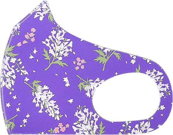 mp_OK_0005_IMG_4427_clipped_rev_1